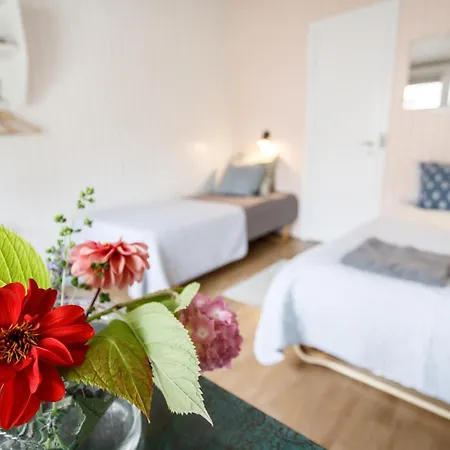 Danhostel Stevns Klint *