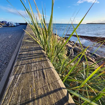 Hostel Danhostel Stevns Klint Store Heddinge