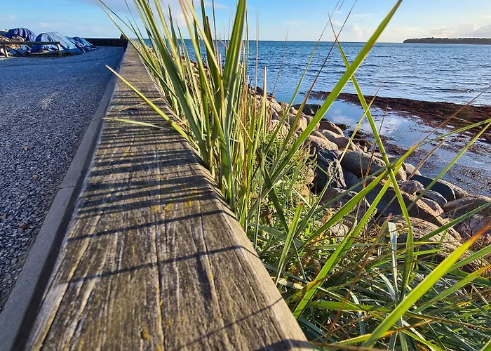 ホステル Danhostel Stevns Klint Store Heddinge